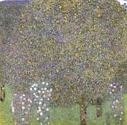 Gustav Klimt Rose Bushes Under the Trees china oil painting image